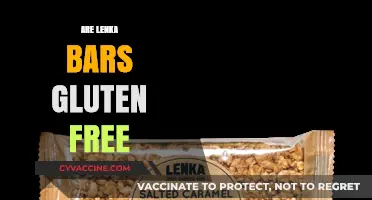 Are Lenka Bars Gluten-Free? A Comprehensive Guide to Ingredients