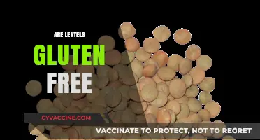 Are Lentils Gluten-Free? A Clear Guide for Healthy Eating
