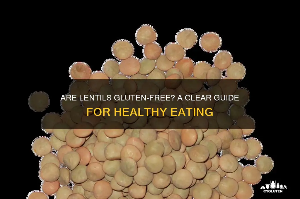 are lentels gluten free