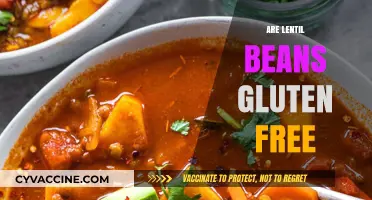 Are Lentil Beans Gluten-Free? A Comprehensive Guide for Celiacs