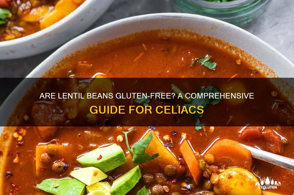 are lentil beans gluten free