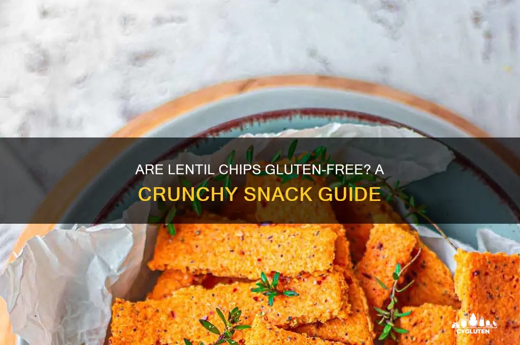 are lentil chips gluten free