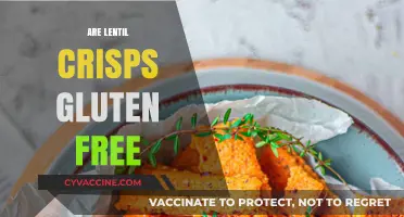 Are Lentil Crisps Gluten-Free? A Crunchy Snack Guide