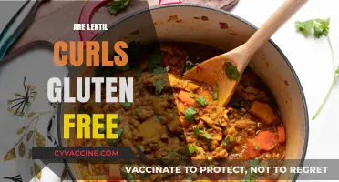 Are Lentil Curls Gluten-Free? A Comprehensive Guide for Snack Lovers