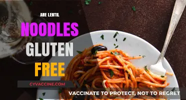 Are Lentil Noodles Gluten-Free? A Complete Guide for Celiacs