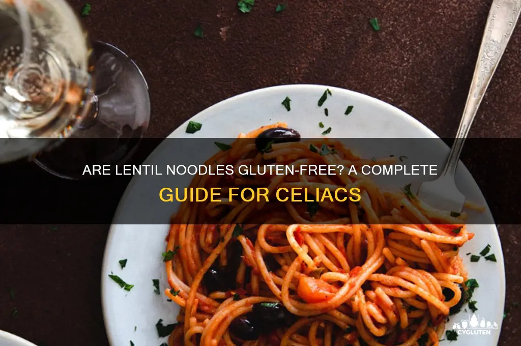 are lentil noodles gluten free