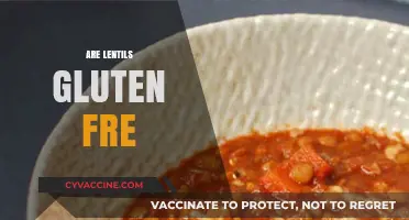 Are Lentils Gluten-Free? A Clear Answer for Your Diet