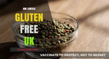 Are Lentils Gluten-Free in the UK? A Comprehensive Guide