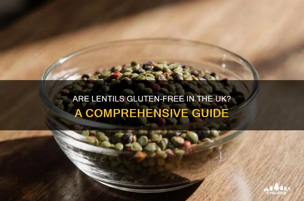 are lentils gluten free uk