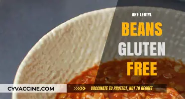 Are Lentil Beans Gluten-Free? A Clear Answer for Your Diet