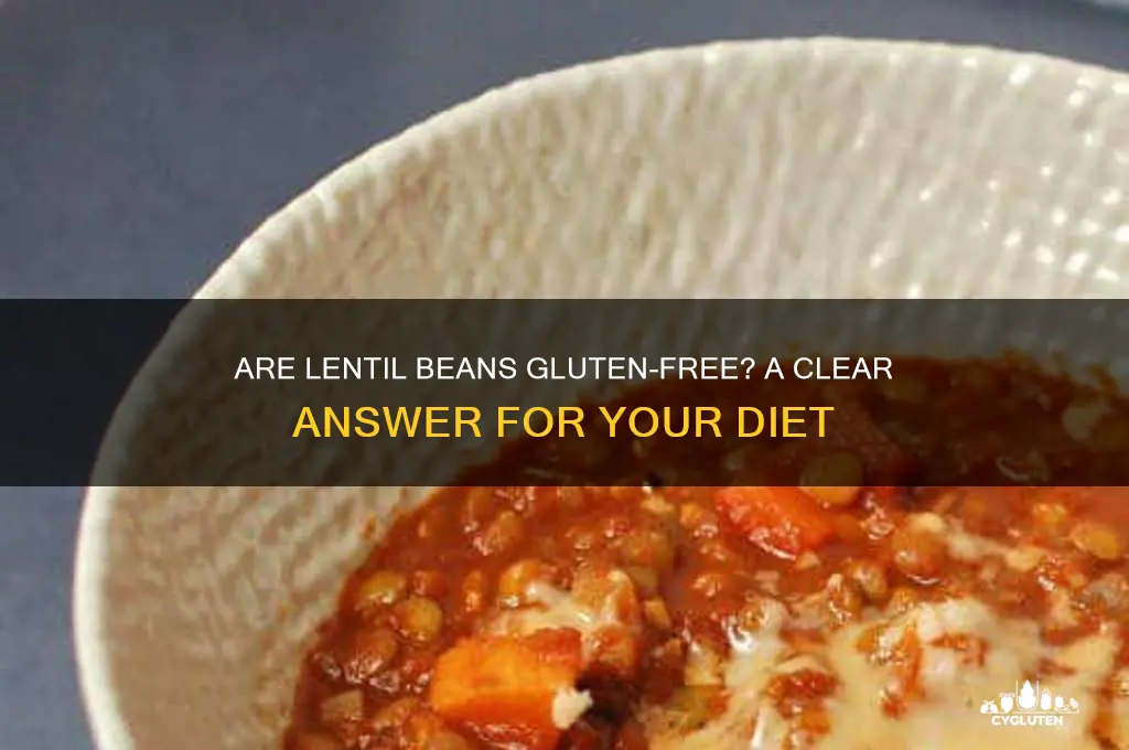 are lentyl beans gluten free