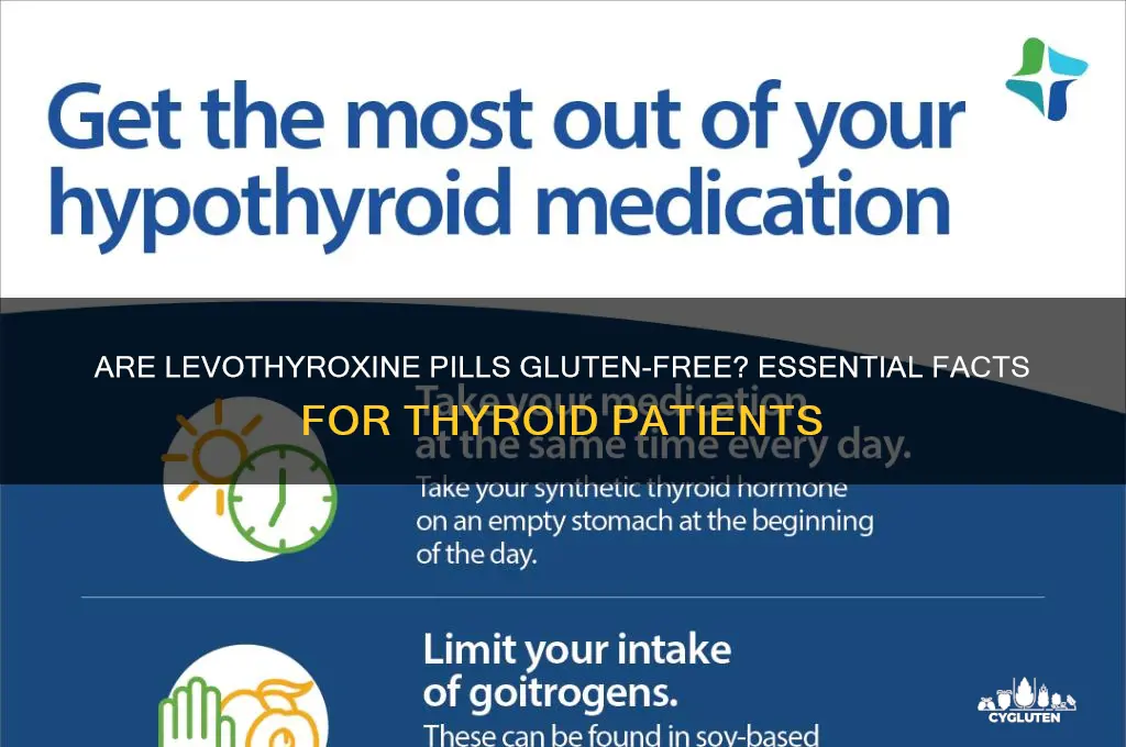 are levothyroxine pills gluten free