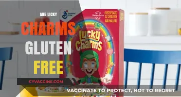 Are Lucky Charms Gluten-Free? A Cereal Lover's Guide