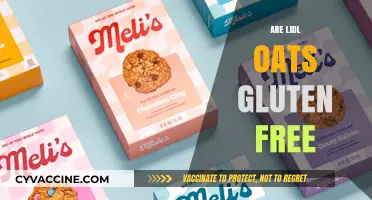 Are Lidl Oats Gluten-Free? A Comprehensive Guide for Shoppers