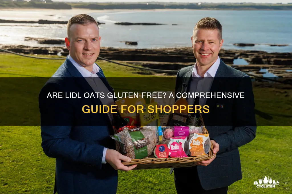 are lidl oats gluten free