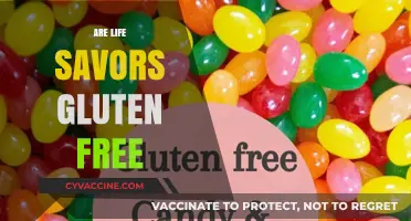 Are Life Savers Gluten-Free? A Sweet Snack Fact Check