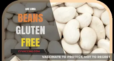 Are Lima Beans Gluten-Free? A Complete Guide for Celiac Diets