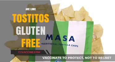 Are Lime Tostitos Gluten-Free? A Crunchy Snack Fact Check