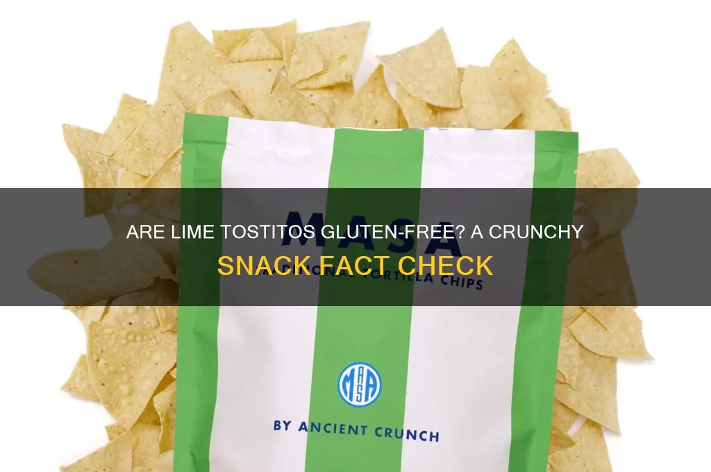 are lime tostitos gluten free