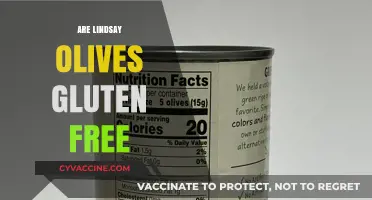 Are Lindsay Olives Gluten-Free? A Comprehensive Guide for Celiacs