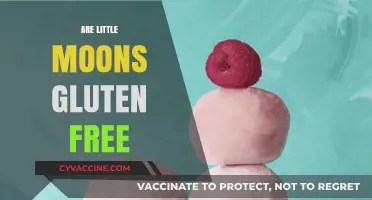 Are Little Moons Gluten-Free? A Sweet Treat for All Diets