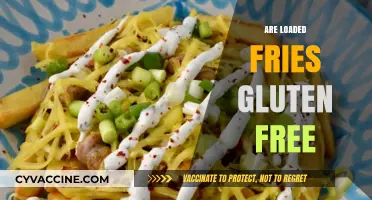 Are Loaded Fries Gluten-Free? A Tasty Guide to Safe Snacking
