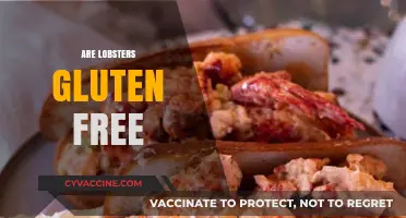 Are Lobsters Gluten-Free? Unraveling Seafood Dietary Concerns