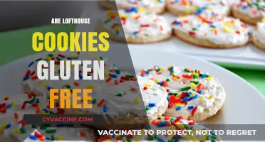 Are Lofthouse Cookies Gluten-Free? A Sweet Treat Investigation