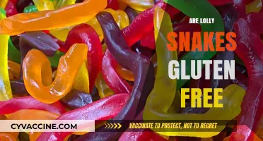 Are Lolly Snakes Gluten-Free? A Sweet Treat Investigation