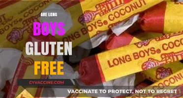 Are Long Boys Gluten-Free? Unraveling the Snack Mystery
