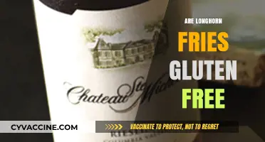 Are Longhorn Fries Gluten-Free? A Complete Guide for Celiac Diners