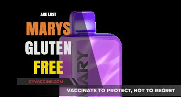 Are Lost Marys Gluten-Free? A Comprehensive Guide to Ingredients