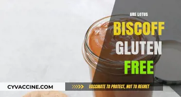 Are Lotus Biscoff Gluten-Free? A Complete Guide for Cookie Lovers