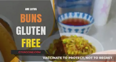 Are Lotus Buns Gluten-Free? A Delicious Dietary Dilemma Explored