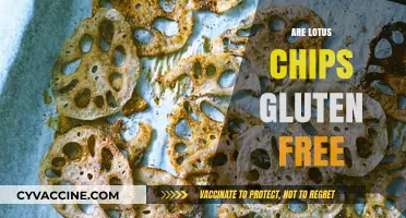 Are Lotus Chips Gluten-Free? A Crunchy Snack Fact Check