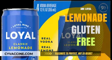 Are Loyal Lemonade Products Gluten-Free? A Comprehensive Guide