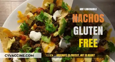 Are Lunchable Nachos Gluten-Free? A Complete Guide for Celiacs
