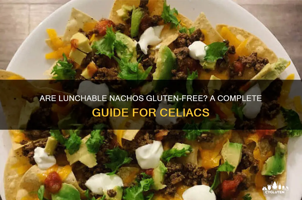 are lunchable nachos gluten free