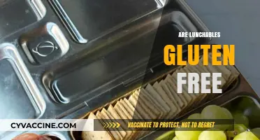 Are Lunchables Gluten-Free? A Complete Guide to Safe Snacking