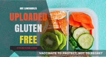 Are Lunchables Gluten-Free? A Comprehensive Guide for Celiac Diets