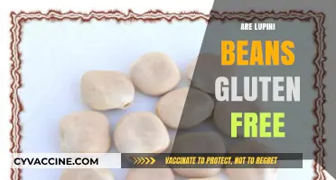 Are Lupini Beans Gluten-Free? A Complete Nutritional Guide