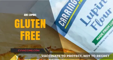 Are Lupins Gluten-Free? Uncovering the Truth for Celiac Diets