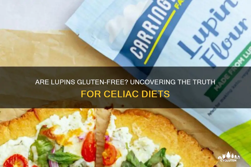 are lupins gluten free