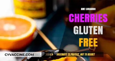 Are Luxardo Cherries Gluten-Free? A Complete Guide for Cocktail Lovers