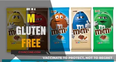 Are M&Ms Gluten-Free? A Comprehensive Guide for Snack Lovers