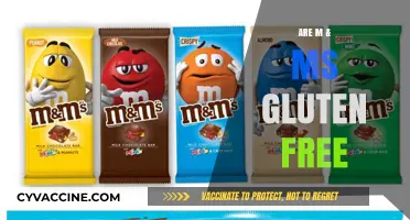 Are M&Ms Gluten-Free? A Sweet Snack Fact Check