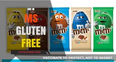 Are M&Ms Gluten-Free? A Complete Guide for Snack Lovers