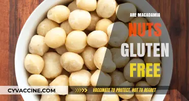 Are Macadamia Nuts Gluten-Free? A Comprehensive Nutritional Guide