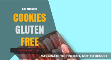 Are Macarons Gluten-Free? A Sweet Treat for Celiac Diets