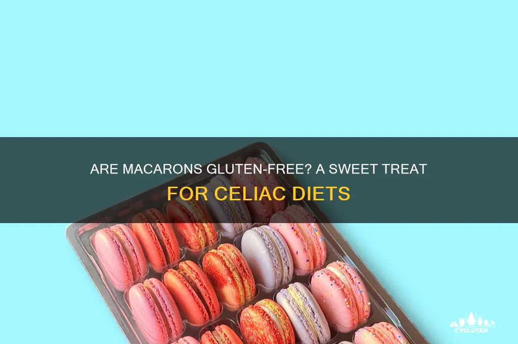 are macaron cookies gluten free